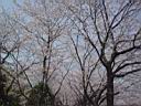 DSC05482.jpg