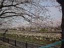 DSC05483.jpg
