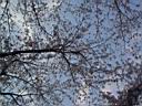 DSC05517.jpg