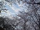 DSC05518.jpg