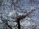 DSC05519.jpg