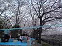 DSC05520.jpg