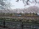 DSC05521.jpg