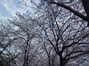 DSC05522.jpg