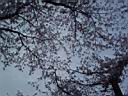 DSC05543.jpg