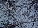 DSC05544.jpg