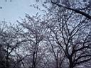 DSC05545.jpg