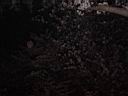 DSC05573.jpg