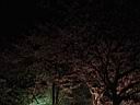 DSC05575.jpg