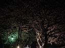 DSC05576.jpg