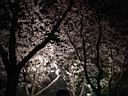DSC05577.jpg