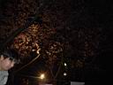 DSC05584.jpg
