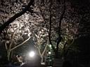 DSC05585.jpg