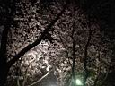 DSC05600.jpg