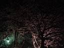 DSC05602.jpg