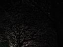 DSC05603.jpg