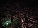 DSC05604.jpg