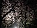 DSC05605.jpg