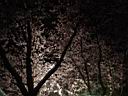 DSC05608.jpg