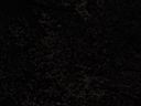 DSC05609.jpg