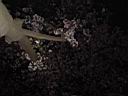 DSC05610.jpg